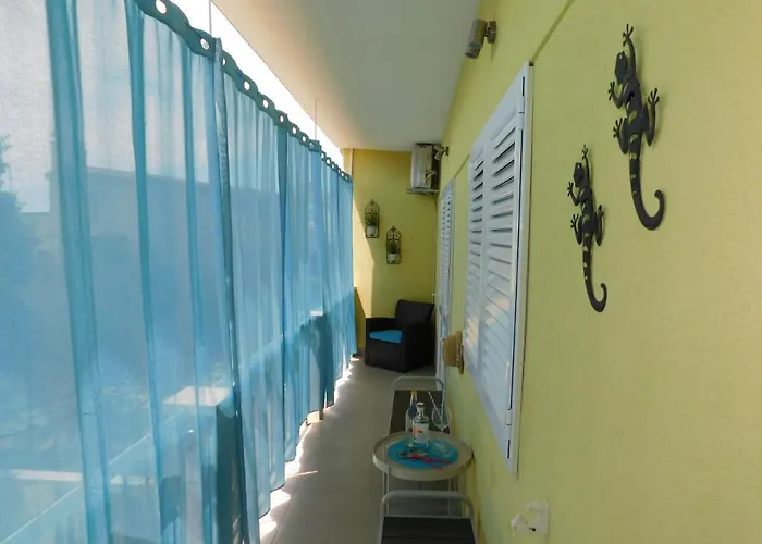 Dalmatia Ketty Daire *